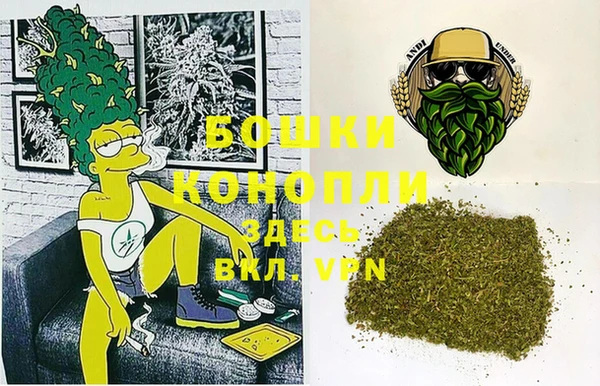 мет Касимов