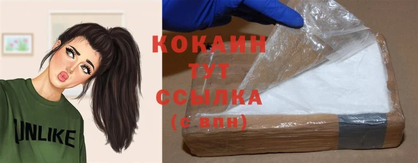 мет Касимов