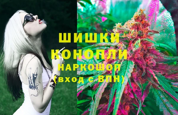 мет Касимов