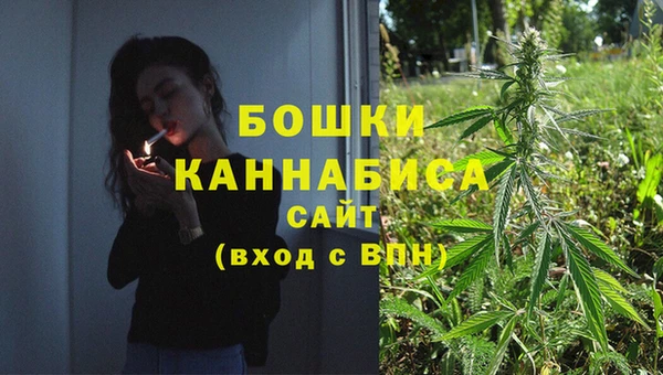 мет Касимов