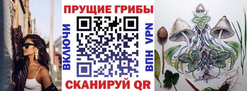 Купить закладки  Тосно  Галлюциногенные грибы мухоморы 